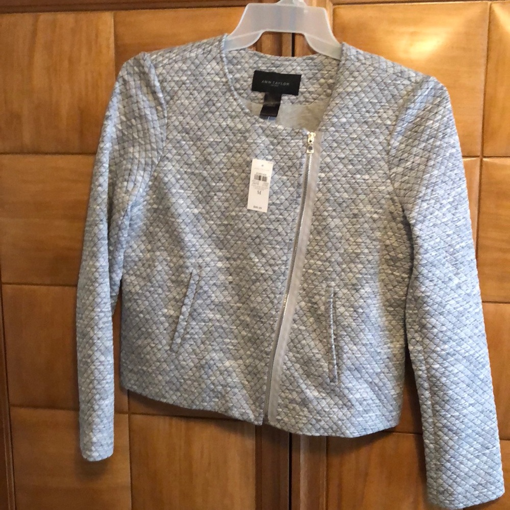 Ann Taylor Moto jacket